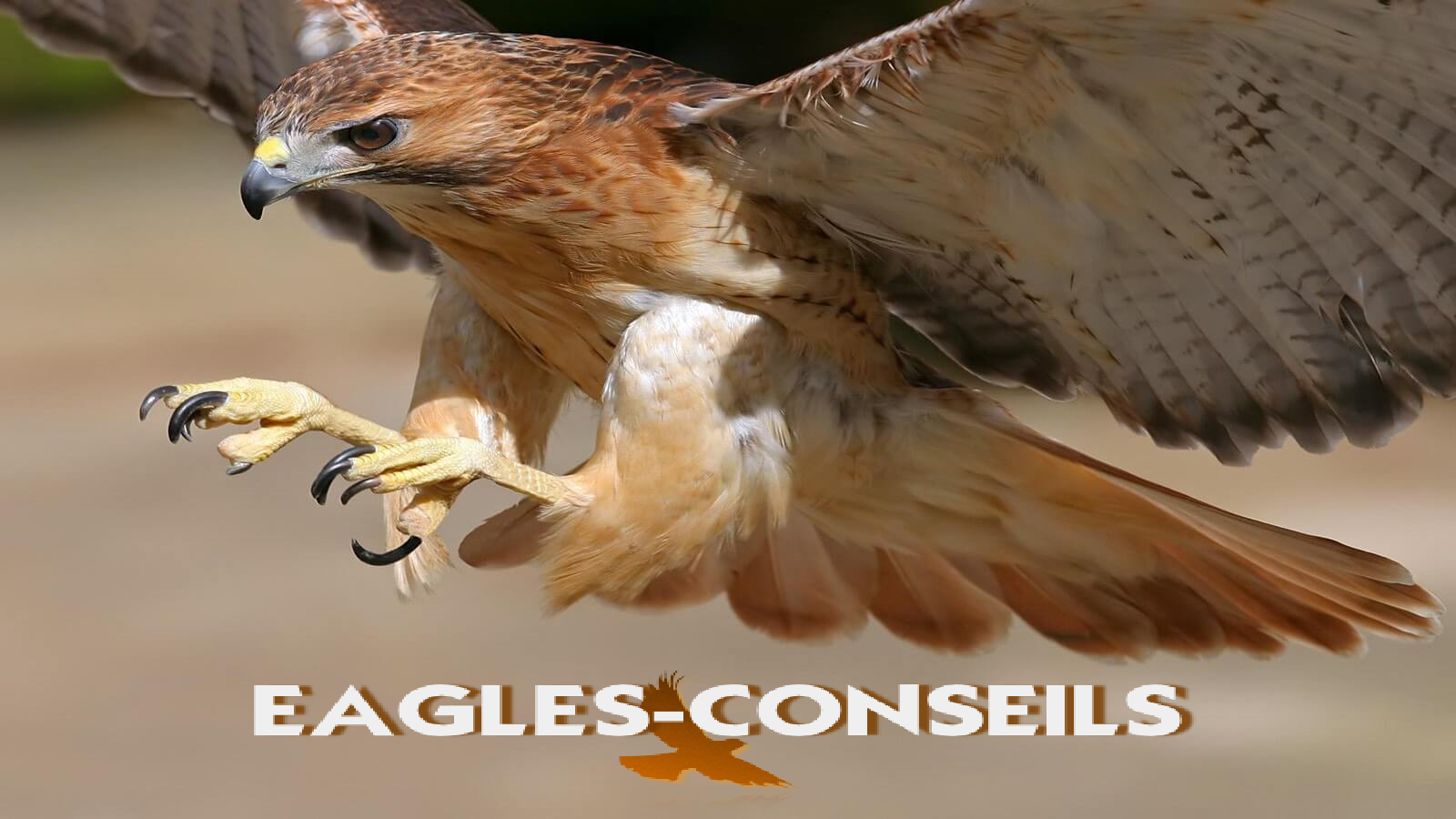 eagles-conseils videosurveillance tours